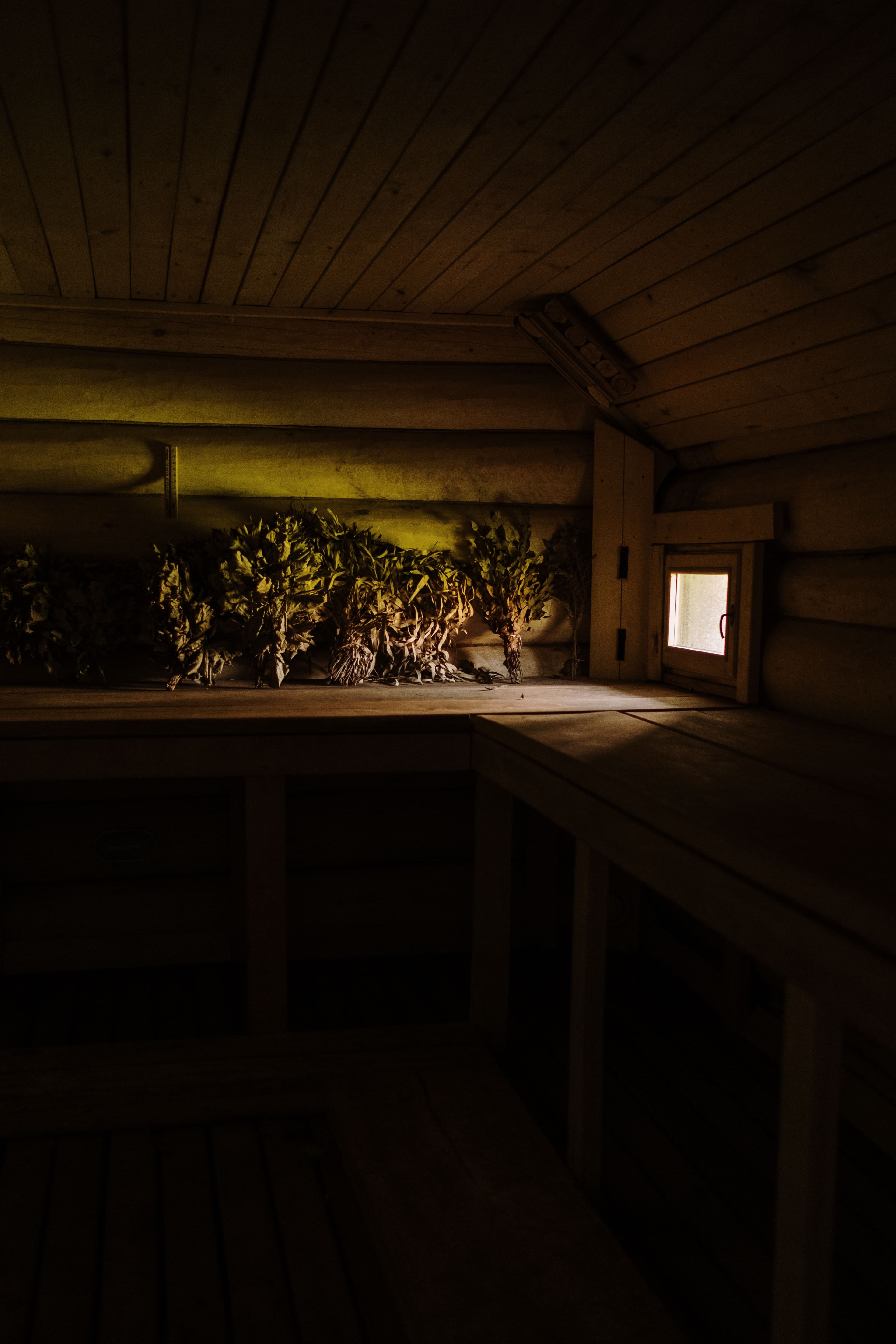 Dunkle Banja aus Rundholz, auf der oberen Bank liegen getrocknete Birken- und Eichenbesen, durch ein kleines Fenster fällt warmes Licht.